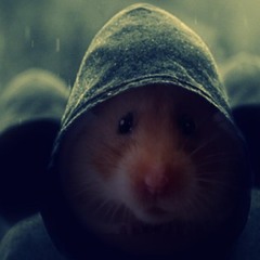 Hamster Synonymous