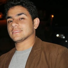amr moneer 2