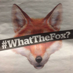MrRasFox