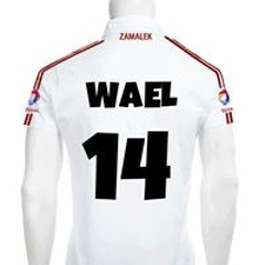 Wael Afifi 3