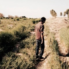 Taha Mustafa