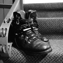 here,kittykittykitty..