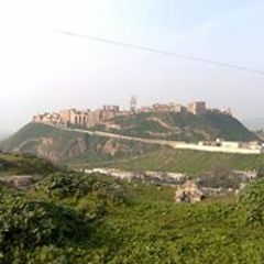 موطني - عود