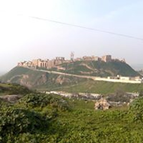 موطني - عود