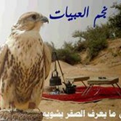 عادل العميري - عزيز خطر بأشواقه
