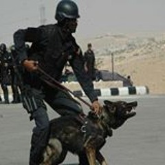 Ahmed Alzoubi 1