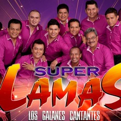 GRUPO SUPER LAMAS