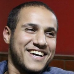 Ibrahim elsharkawy 2