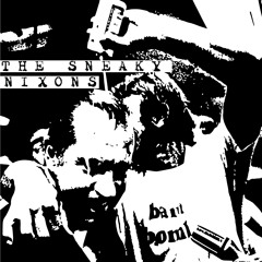 The Sneaky Nixons