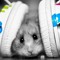 user524451197