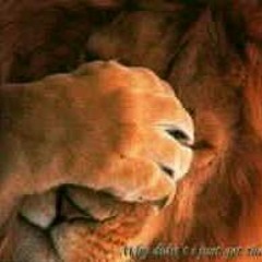 The-Social Club All-Starz