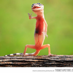 TheGreatGeronimoSplash