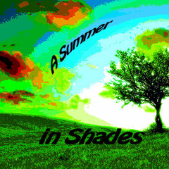 A Summer in Shades