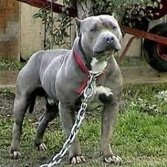 zoeboyh