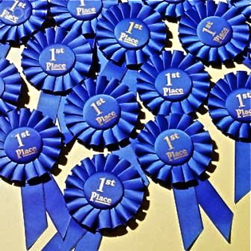 BLUE RIBBONS’s avatar