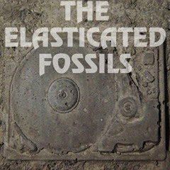 The Elasticated Fossils