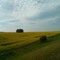 lardass1