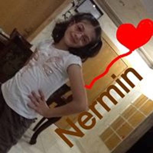 Nermin Ghareep’s avatar
