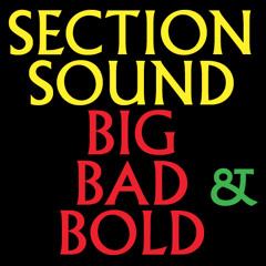 Section Sound