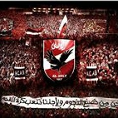 Ahmed Mahmoud Elashmony