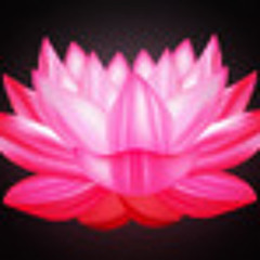 LotusGlow