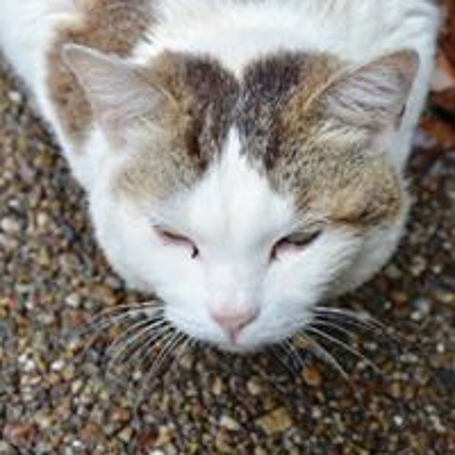 ONE OK ROCK - Mighty Long Fall (STUDIO JAM SESSION vol.2)