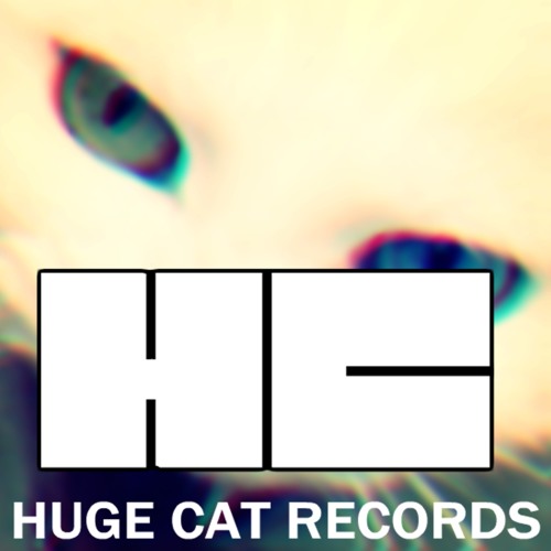 Huge Cat Records’s avatar