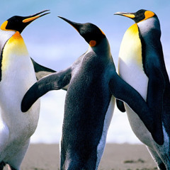 Bars and melody I be missing you