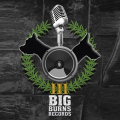 Big Burns Records