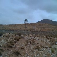 Mohamedriadh Benmohamed