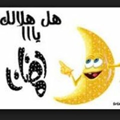 Mohamed Ahmed Borghol