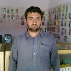 user295460291