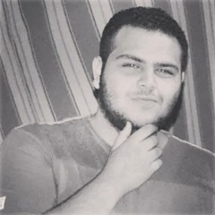 Ezzeldin A. Sadek