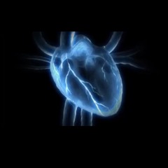 Roselle Angelea Falsario