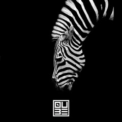 Qube Project