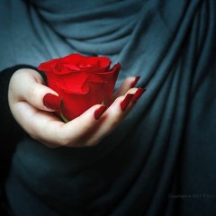 Shereen Mohamed Mokhtar
