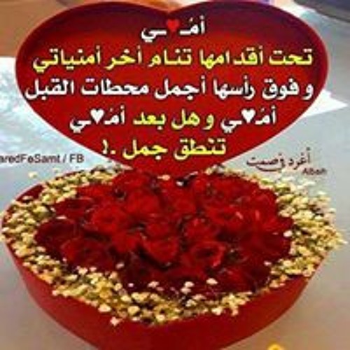 Lomi Mohamed’s avatar