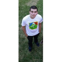 Vinicius Rocha Do Amaral