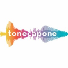 dj tonecapone