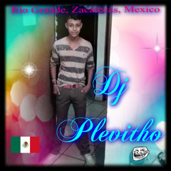 Dj Pleviitho