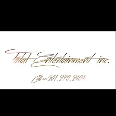 Total Entertainment Inc.