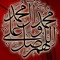 Hayder Ali 10