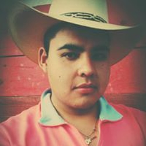 Luis David Gonzalez Hdz’s avatar