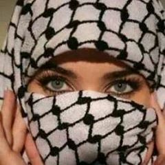 الايام زى امتحان (حمزة نمرة)