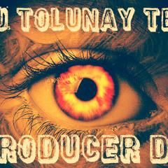 TOLUNAY TEK OFFICIAL