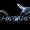 dj pascalus