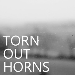 TORN OUT HORNS