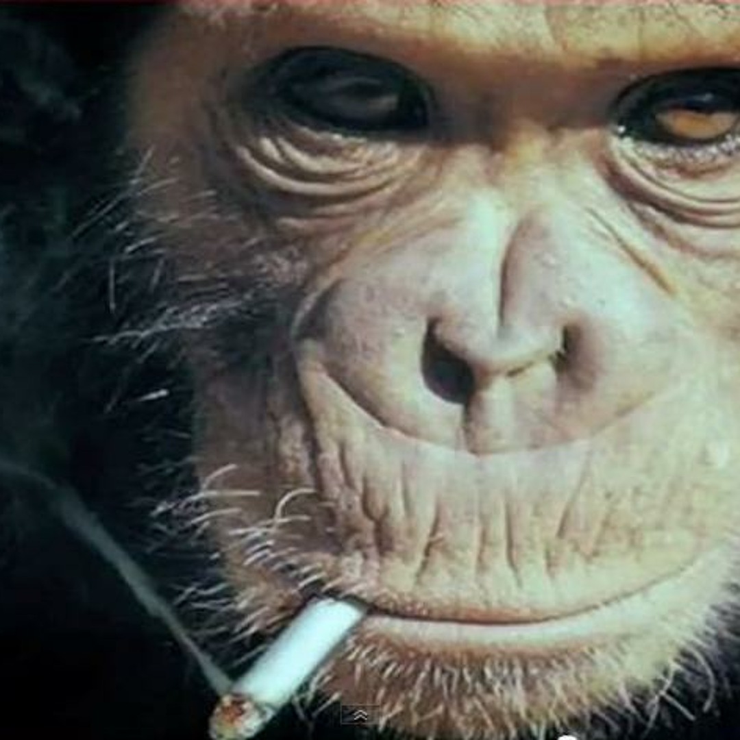 is pipe smoking healthier than cigarettes New To Pipe Smoking? An Entry Level Article by Eric Boehm