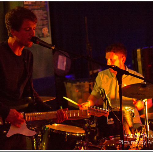Stream Shoot The Rabbit music | Listen to songs, albums, playlists for ...