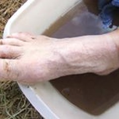 Christopher Wilson 64